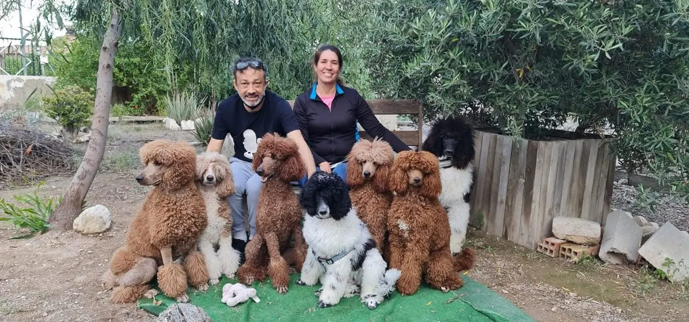 José, Imara y sus caniches en el jardín del criadero